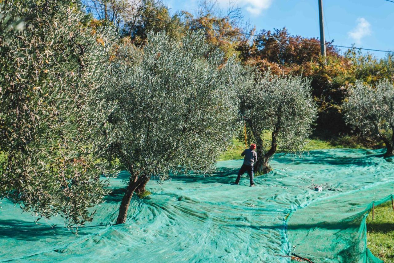 Villa Giorgia Albergo In Collina Pistoia Exteriér fotografie
